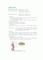 [신경해부학 neuroanatomy][신경해부 요점] 신경해부 요점 ,신경해부 시험 요점, 신경해부 과제 3페이지