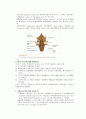 [신경해부학 neuroanatomy][신경해부 요점] 신경해부 요점 ,신경해부 시험 요점, 신경해부 과제 7페이지