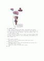 [신경해부학 neuroanatomy][신경해부 요점] 신경해부 요점 ,신경해부 시험 요점, 신경해부 과제 22페이지