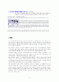 [원정출산의 득과 실] 원정 출산(遠征出産) - 원정출산의 현황, 원정출산 원인, 원정출산 문제점과 개선방안 7페이지