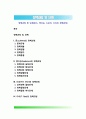 정책과정 및 단계 - 존스(Jones), 앤더슨(Anderson), 드로어(Y. Dror), 다이(T. Dye)의 정책과정 1페이지