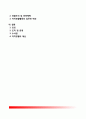 외국의 자치경찰제도(自治警察制度) - 미국, 영국, 프랑스, 스페인, 독일, 일본의 자치경찰제도 2페이지