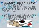 [불법복제][소프트웨어 불법복제][소프트웨어 복제 심각성]소프트웨어 불법복제 유형, 심각성, 소프트웨어 불법복제 해결방안.pptx 10페이지