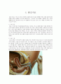 [불임의 원인과 치료] 불임 (不姙) - 불임의 개념, 불임 검사, 불임 원인, 불임 치료방법 11페이지