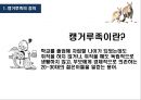 [캥거루족 해결방안] 캥거루족 - 캥거루족 개념과 실태 및 해결방안.pptx 3페이지