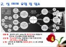 [성매매문제][성매매대책방안][성매매특별법] 성매매 (性賣買) - 성 매매의 개념, 성 매매 유형, 성 매매 원인, 성 매매 대책방안.pptx 5페이지