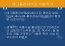 [애그플레이션(Agflation)과 식량위기의 해결방안] 애그플레이션과 식량위기의 실태, 애그플레이션과 식량위기의 문제점, 식량위기 해결방안.pptx 3페이지