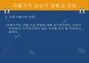 [애그플레이션(Agflation)과 식량위기의 해결방안] 애그플레이션과 식량위기의 실태, 애그플레이션과 식량위기의 문제점, 식량위기 해결방안.pptx 12페이지