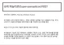 슈퍼 파놉티콘(Super-panopticon)의 개념과 특징 및 전망.pptx 7페이지