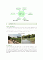 생태공원 (生態公園 / Ecological Park) : 생태공원의 사례와 프로그램 ; 생태공원의 역할과 특성 분석 {생태공원의 발생배경과 특성, 역할, 유형, 조성의 전제 조건, 사례, 생태공원의 프로그램} 7페이지