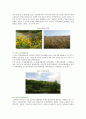 생태공원 (生態公園 / Ecological Park) : 생태공원의 사례와 프로그램 ; 생태공원의 역할과 특성 분석 {생태공원의 발생배경과 특성, 역할, 유형, 조성의 전제 조건, 사례, 생태공원의 프로그램} 9페이지
