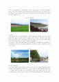생태공원 (生態公園 / Ecological Park) : 생태공원의 사례와 프로그램 ; 생태공원의 역할과 특성 분석 {생태공원의 발생배경과 특성, 역할, 유형, 조성의 전제 조건, 사례, 생태공원의 프로그램} 10페이지