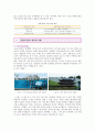[공공디자인 사례] 공공디자인 (Public Design) - 공공디자인의 필요성과 사례 ; 공공디자인의 역할과 영역분석 {공공디자인의 정의와 배경, 필요성, 특성, 범위와 역할, 영역과 사례, 해외 사례} 11페이지