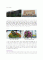 [공공디자인 사례] 공공디자인 (Public Design) - 공공디자인의 필요성과 사례 ; 공공디자인의 역할과 영역분석 {공공디자인의 정의와 배경, 필요성, 특성, 범위와 역할, 영역과 사례, 해외 사례} 12페이지
