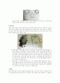 왕복엔진의 구성품과 역할(동력장치) 5페이지