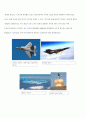 항공기(航空機)의 역사 5페이지