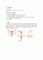 hysterectomy 자궁절제술 - 정리, 정의, 구조, 기능, 종류, 수술 3페이지