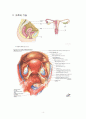 hysterectomy 자궁절제술 - 정리, 정의, 구조, 기능, 종류, 수술 4페이지