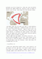 삼각무역의 형태와 영향 - 노예무역(奴隸貿易 / Slave Trade)을 중심으로 5페이지