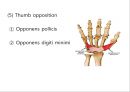 Elbow & Wrist & Finger 팔꿈치 & 손 수술 방법의 이해.pptx 16페이지
