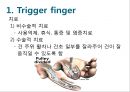 Elbow & Wrist & Finger 팔꿈치 & 손 수술 방법의 이해.pptx 79페이지