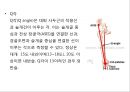 0 & X 다리의 이해 및 운동運動 방법 6페이지