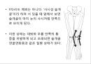 0 & X 다리의 이해 및 운동運動 방법 15페이지