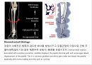 0 & X 다리의 이해 및 운동運動 방법 22페이지