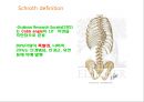 측만증側彎症 이해 및 운동 방법 소개 5페이지