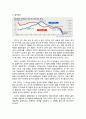 스칸디나비아항공 vs 델타항공 기업분석과 위기상황분석및 두기업의 위기극복위한 경영전략분석 레포트 11페이지