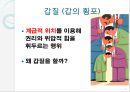 [갑의 횡포와 해결방안] 갑의 횡포 - 갑질 (갑질의 원인, 갑질의 실태, 갑의 횡포 대책방안).pptx 4페이지
