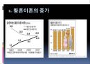 [황혼이혼 문제점과 해결방안] 황혼이혼 (黃昏離婚) - 황혼이혼의 증가 원인, 황혼이혼 문제점 및 해결방안.ppt 4페이지