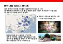 중국의 경제성장과 풀어야할 문제들 [빈부격차, 농민공, 수질오염, 대기오염, 사막화, 부정부패].pptx 25페이지