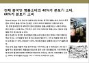 면세점(免稅店) 산업의 이해 & 중국인 관광객 증가가 면세점산업에 미치는 영향.pptx 11페이지