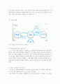 (창업계획서) 대학생 인턴 취업알선업체 창업 사업계획서 {사업아이템 소개와 기대효과, 서비스 구성 및 특징, 차별화 전략, 구직사이트 시장분석, 마케팅전략, 사업운영계획과 수익모델, SWOT 분석} 13페이지