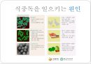 식중독 예방을 위한 손씻기 예방의 중요성 자료 입니다.^^.pptx 5페이지