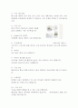 ≪ 구글Google의 성공전략과 마케팅전략 ≫ 구글 기업분석과 SWOT분석과 구글 경영 성공요인분석 및 마케팅전략분석과 구글의 새로운전략 제안 및 견해 보고서
 17페이지