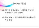 [대학생물및실험1] 세미나 Agarose gel(아가로스 겔)과 전기영동.pptx 6페이지