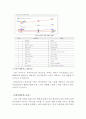 바이두 (Baidu / 百度) 기업분석과 마케팅전략 및 바이두 향후전략분석 레포트 14페이지