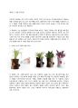 [디자인과 문화 과제] 나와 디자인 - 「Qualy」사의 다람쥐 화분, 「Modcloth」사의 판다곰 찻잔세트, 디자이너 「Muzaffer Kocer」의 오리 물총 슬리퍼 1페이지