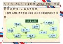 5장 숀다이크의 효과법칙 자극-반응 학습원리와 프로그램 학습-지도 방법 - Thorndike의 효과법칙과 산술교육.pptx 12페이지