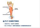 05. 다리 근육 (Leg muscle) - 2 의 기시, 정지 , 작용 , TP사진, 기능적 단위 등.pptx 3페이지