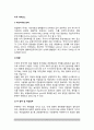미국 거버넌스(The Governance of US) {미국의 지방자치와 참여, 국가거버넌스와 행정개혁} 2페이지