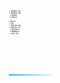 [경찰조직의 소송업무(Lawsuit)] 경찰 소송업무(Lawsuit Act), 소송행위(Lawsuit Act), 행정심판(Administrative Judgement), 행정쟁송, 행정소송(Judicial Review Of Administrative Act) 2페이지