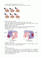 대장암과 관련된 보건교육 및 문헌고찰, 대장암송 등이 있습니다. 13페이지