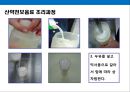 면역력을 높이고 노화방지에 도움을 주는 음식과 생활습관.pptx 6페이지