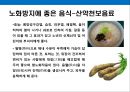 면역력을 높이고 노화방지에 도움을 주는 음식과 생활습관.pptx 31페이지