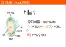 식물의 생식과 유전변이.pptx
 20페이지