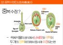 식물의 생식과 유전변이.pptx
 22페이지