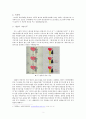 표절(剽竊)사례 2페이지
